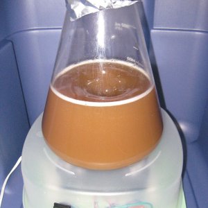 Firststarterusingthehomemadestirplate