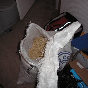 brewday3