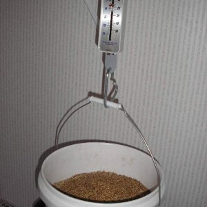 brewday4
