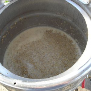 brewday5