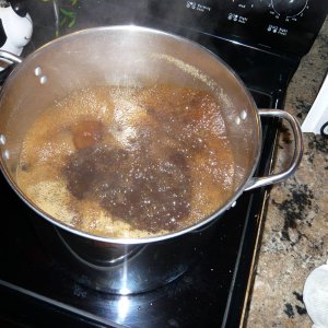 boilingnutbrownwort