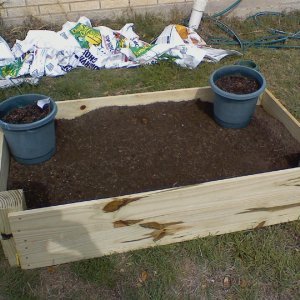 raisedbed