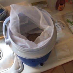2GallonMiniMashTun