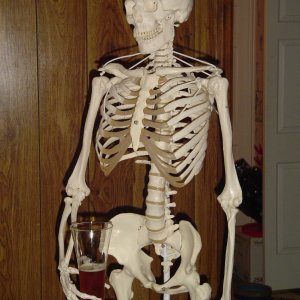 Skeleton_004