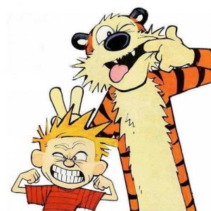calvin_hobbes