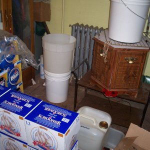 BeerampPrimaries