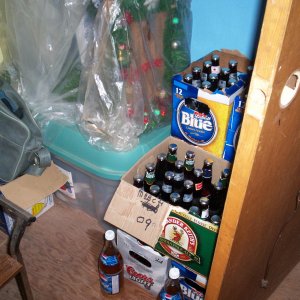 Beer