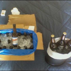 beers