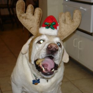 06_xmas_-_pops_birthday_010