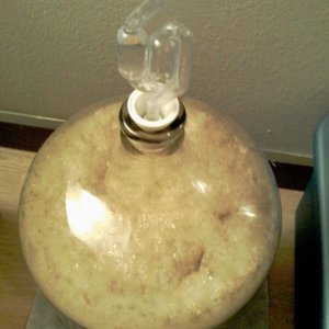 IMAGE_003
