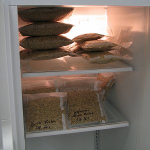 Specialty_Grains
