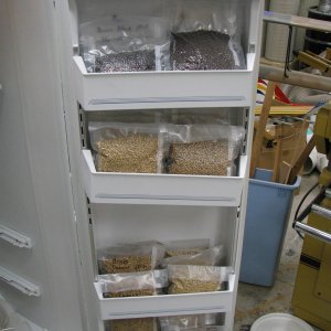 More_Specialty_Grains