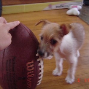 DSC00948