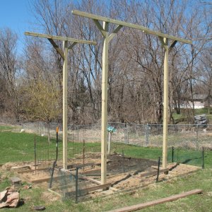 TRELLIS21