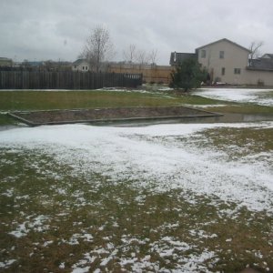 Myyard41208