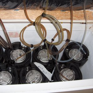 keezer_09