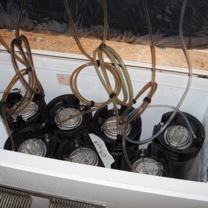 keezer_101