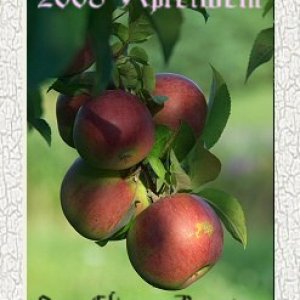 framedapple_big