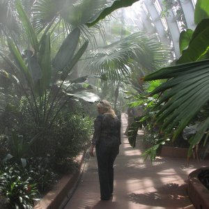 GarfieldParkConservatoryTrip