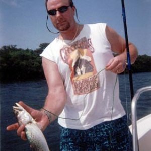 nicetrout