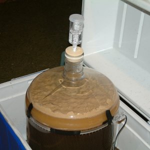BelgianWitHapplyBubbling