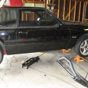Mustang5