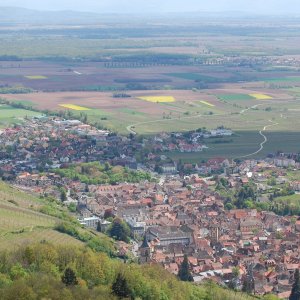 ribeauville