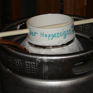 2008_hops_II_0031
