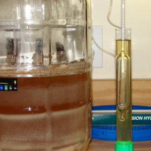 Mead_1