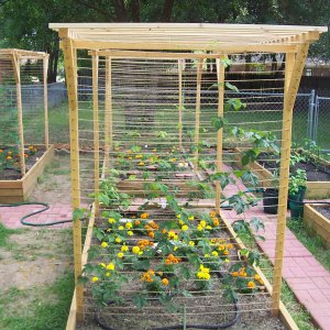 HopGarden2008