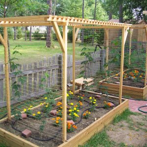 HopGarden2008