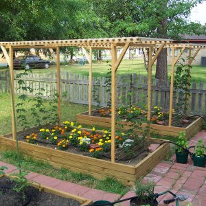HopGarden2008