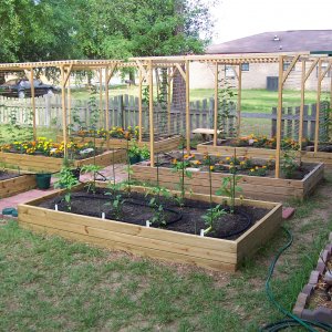 HopGarden2008