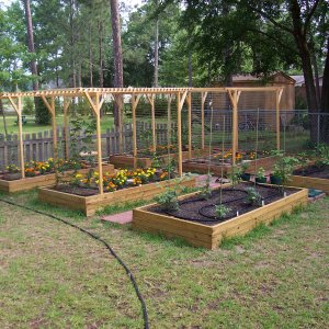 HopGarden2008