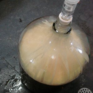 carboy