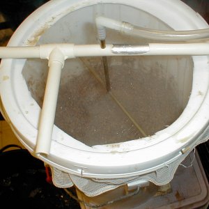 P1050023