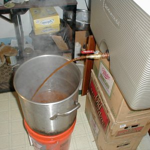 P20300341