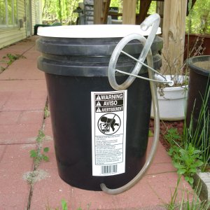 2008_hops_III_005