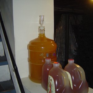 Pics_007