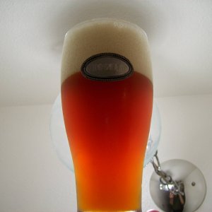 IPA