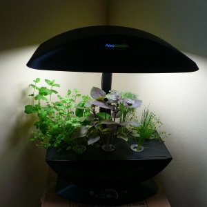 AeroGarden