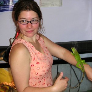 iguana6a
