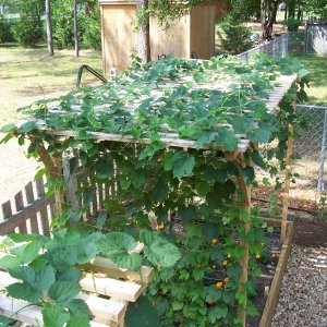 4Cascade1raisedbed