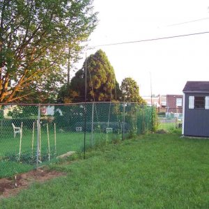 15minutehoptrellis1