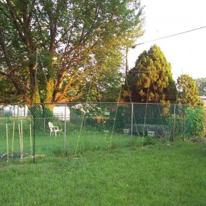 15minutehoptrellis2