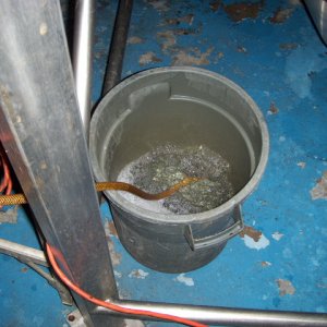 SaintArnoldsBlowOffBucket