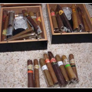 PackedHumidors