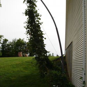 2008_Late_June_001