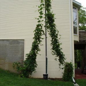 2008_Late_June_003