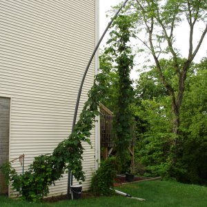 2008_Late_June_007